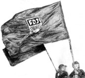 FDJ Fahne
